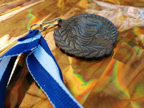 Medalla a la perseverancia