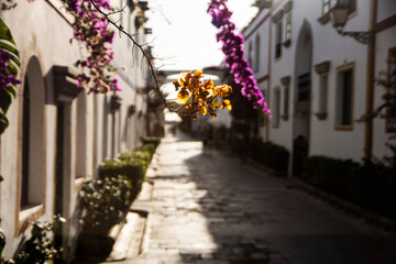 White streets in the famous village of Puerto de Mogan in Canary Islands, Spain