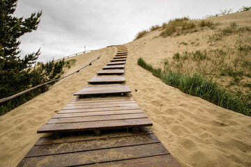 Obraz premium Wooden path to sand dunes of Nida, Lithuania