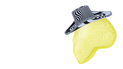 Kopf aus Gitter modelliert mit Hut, Hintergrund weiß