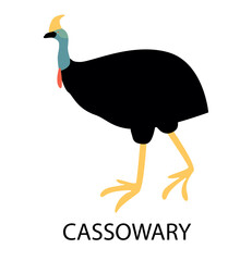 Illustration with cassowary.Cute cartoon character. Australian bird