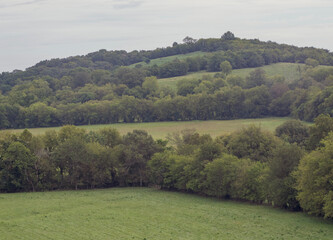 landscape with trees