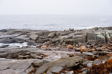 Shore coastline York Maine USA