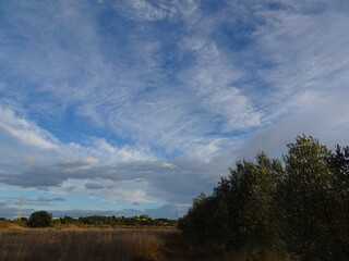 Fototapeta na wymiar Wavey Clouds in Blue Sky