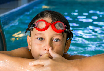 The face of a wet happy Caucasian boy of 7 years old looks at the photographer with his hands on the edge of the pool. Healthy lifestyle concept, doing sports in the pool