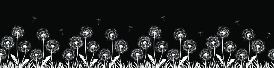 Banner with flowers, dandelions. Silhouette of white dandelions on black background. Floral print pattern, textile pattern. Seamless vector illustration. White flowers with white grass, flying seeds.
