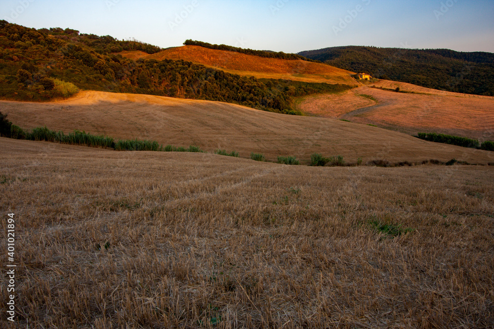 Wall mural sunset in the tuscany