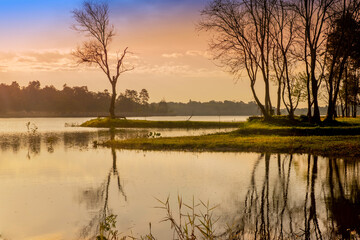 Fototapeta na wymiar Nice landscape with tree and lake on sunrise or sunset in autumn