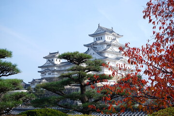 Himeji Castle (Himejijo) in Autumn, Hyogo prefecture, Japan - 姫路城 秋の風景 兵庫県 姫路市 日本	