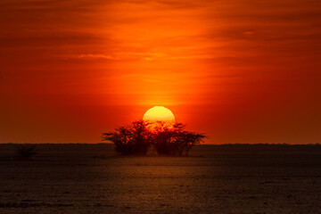 Fototapeta na wymiar Sunset at Little Raan of Kutch ! Indian Landscape !!