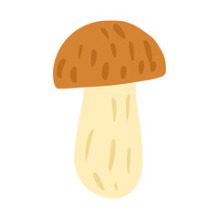 Mushroom isolated on white background. Cartoon seasonal vegetable hand drawn.