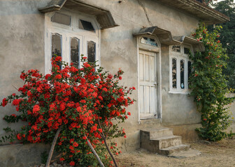 Nice view of one indian house in small village next to Jim Corbett National Park  