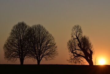 Fototapeta na wymiar Sonnenuntergang mit Bäumen