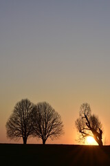 Sonnenuntergang mit Bäumen