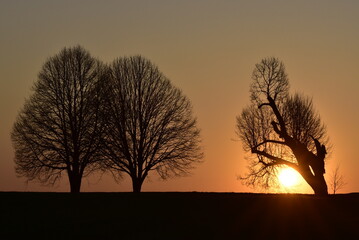 Fototapeta na wymiar Sonnenuntergang mit Bäumen
