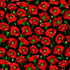 Flower pattern red poppy with buds floral seamless colorful background