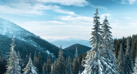 Fantastic winter landscape with snowy trees. Carpathian mountains, Ukraine, Europe. Christmas holiday concept
