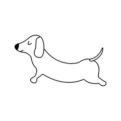 Dachshund practices yoga back bending. Yoga dog, relaxation and sports. Vector isolated doodle illustration. Hand drawn animal black and white