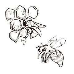 black and white sketch of bees and honey. propolis and honey for bee products packaging design. hand draws graphics. vector.  Vintage bee honeycomb