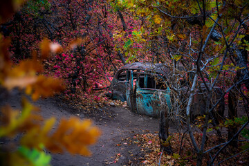 Old Relic Lost in thee Woods