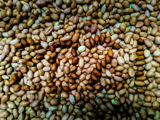 scattered peanuts, which reads the year 2021