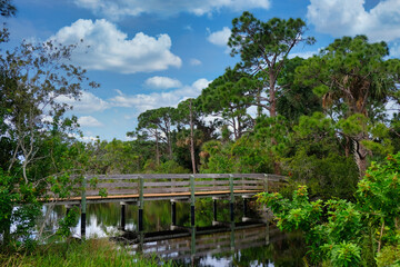 Looking back to a boardwalk over a river with a blue sky and white clouds