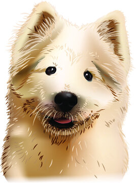 Vector Samoyed Laika; Samoyed Spitz