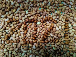 scattered peanuts, which reads the year 2021