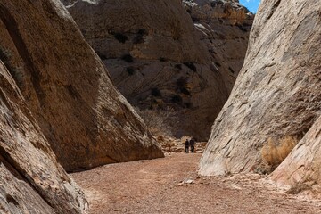 On the Trail