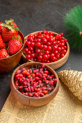 front view fresh red cranberries with other fruits around christmas toys on dark background fruit color xmas holiday berry