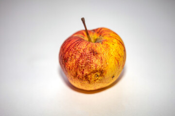 Natural Apple with flaws and fungal plaque. An old autumn Shriveled Apple. Selective soft focus