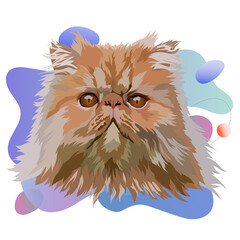 Persian cat vector illustration. Portrait on a colored background