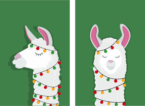 Set of bright vector postcard templates with the image of a llama. Christmas funny alpaca wrapped in a Christmas tree garland.