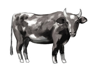 水彩画タッチのリアル風なモノクロ牛