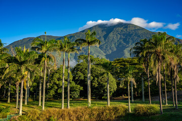 Fototapeta premium View of Avila mountain at morning from Parque del Este