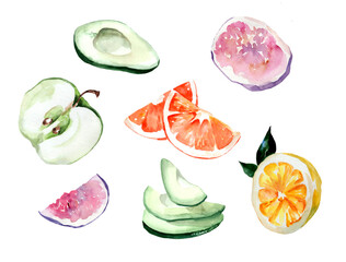 watercolor drawing of fruits and vegetables. Avocado, tangerine, lemon, fig, apple sliced.