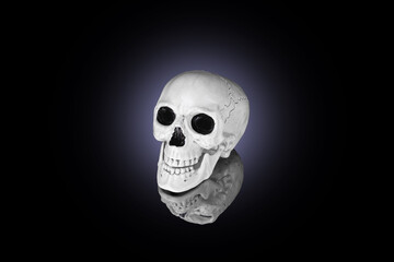 Human skull on black background lit by round blue light on reflective surface