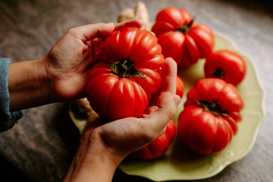 manos sujetando un tomate producido en huerto eco 