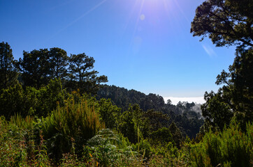 Obraz premium Sonne über La Palma