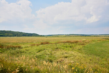 Obraz premium sky, field, landscape, grass, nature, blue, summer, meadow, clouds, cloud, countryside, green, autumn, agriculture, wheat, horizon, farm, yellow, land, outdoors, trees, tree, plant, blue sky, nature,