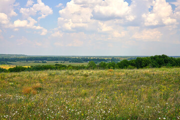 
sky, field, landscape, grass, nature, blue, summer, meadow, clouds, cloud, countryside, green, autumn, agriculture, wheat, horizon, farm, yellow, land, outdoors, trees, tree, plant, blue sky, nature,