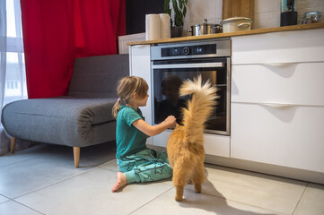 Kid girl feeding ginger cat at the kitchen while waiting for baking. Curious child watching through...