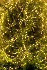Nahaufnahme einer Lichterkette an einem Weihnachtsbaum