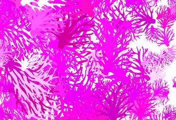 Fototapeta na wymiar Light Pink vector doodle background with branches.