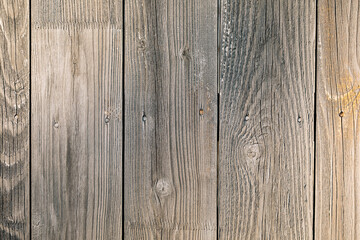 Texture of wood. Old wooden background