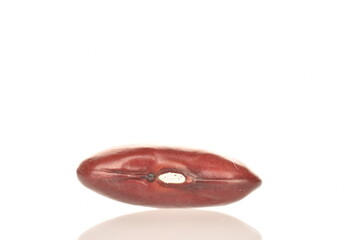 One organic red bean grain, close-up, isolated on white.