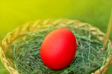 red easter egg in basket with copy space. Easter background