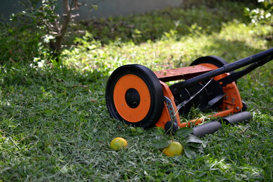 Podadora sobre c&eacute;sped