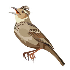 Isolated vector figure of a sitting singing lark