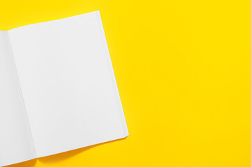 Blank magazine on color background